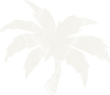 The Beachie Palm white-small
